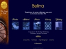 Website Snapshot of BELINA INTERIORS, INC.